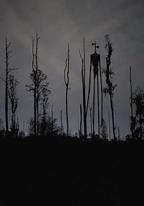 Sirenhead - Stream: Jetzt Film online finden und anschauen