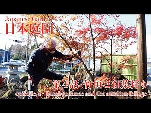(Pro.1 - Ep.4) Making a Japanese Garden.Making bamboo fence and the autumn foliage〜竹垣づくりと紅葉狩り！【日本庭園】
