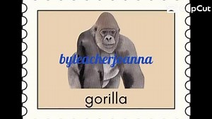 Printable 'zoo Animals' Flash Cards (19 Cards) - Etsy