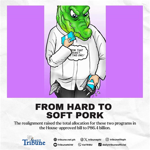 Flood control funds….or cash handouts? 🤔💰 The DPWH’s ₱255-billion flood control budget is gone—but it didn’t just vanish. Much of it has been realigned to aid programs, sparking questions about priorities, efficiency, and the real impact on ordinary Filipinos. Are we investing in infrastructure… or just moving money around? Full story in the comments. #FloodControlProjects #floodcontrolcorruption #DPWH #cashhandout #dpwhbudget #DailyTribune | Daily Tribune