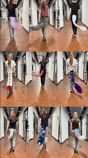 This is how we roll at The Tail Company everyday! 🦊