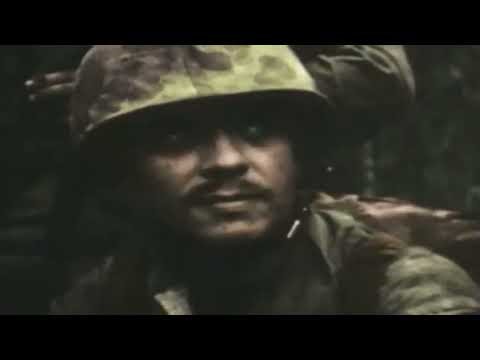 Battle of Peleliu 1944 – The Forgotten Hell of the Pacific War | WWII Documentary