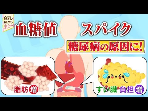 【血糖値スパイク】“糖尿病”への新対策 血糖値の“見える化”で生活習慣を改善！ / 動脈硬化や心筋梗塞のリスクを高める血糖値が急上昇・急降下する“血糖値スパイク”