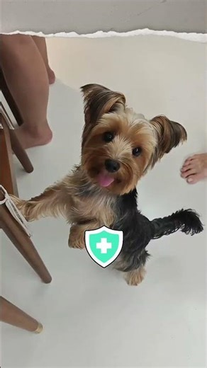 Insurance vs saving money