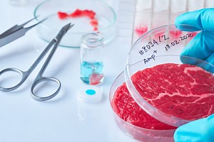El futuro de la carne sintética pasa por San Sebastián: el País Vasco tendrá una de las más grandes fábricas europeas de carne in vitro