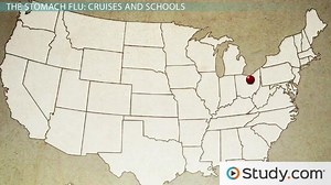 The Stomach Flu & Viruses of the Caliciviridae Virus Family