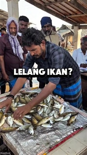 These Fishermen Sell Their Catch Through Auctions