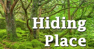 Hiding Place (I will search in the silence) - Lawton