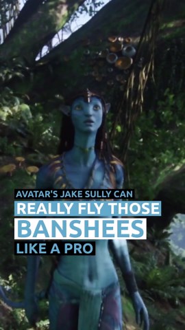 Avatar's Jake Sully can really fly those banshees like a pro