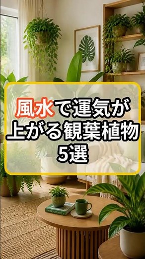 風水で運気が上がる観葉植物5選