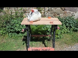 Folding workbench refurbishment & modification. Etabli pliant relooking. Banco de trabajo renovación