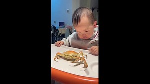 Terrified toddler stares at cooked crab before he cries