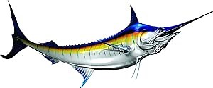 Stripped Marlin Beautiful Fish Decal | Fishing Decal for Boat, Car, Vehicle, Truck Etc. | Waterproof Vinyl Sticker | Many Sizes Styles Available | 12" to 40" by Digital Fish Art (X-Large Position 3R)