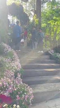 Cô Long Happy Hill chúc mọi người ngày mới an lành nha…