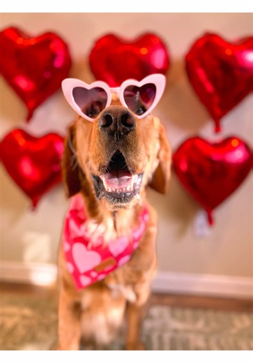 Easy Valentine’s Day Setup Ideas for Friends