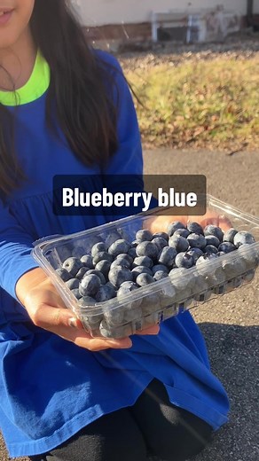 What makes blueberries blue? Spoiler alert: It's not blue pigment. #ScienceTok #STEM 🎥: MIDDLETON ET AL./SCIENCE ADVANCES 🎶: NGUYÊN KHÔI NGUYỄN