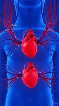 What Happens Inside Your Body When You Swallow a Pill? 💊#short #ytshorts -3D Learning Curve #science