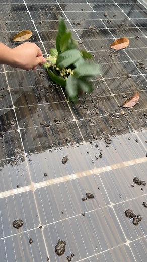 So frustrating!This fully automatic cleaning system works too perfectly — the panels look brand new all the time. I actually had to create dust just to show how it cleans! | SuperPiping