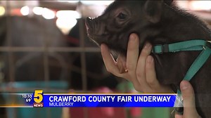 IN CASE YOU MISSED IT: The Crawford County Fair is underway in Mulberry. We spoke with competitors in today's livestock show who say they love the sport, and the support the community gives them. | 5NEWS