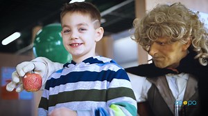 1.6K reactions · 336 shares | Gyertek a Csodák Palotája-ba, ha egy...