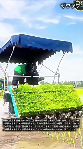 効率10倍UP！乗用田植機で正確に苗を植える方法