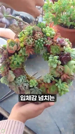 집에 있는 다육이로 리스 만드는 초간단 꿀팁 #다육이키우기 #가드닝 #꿀팁