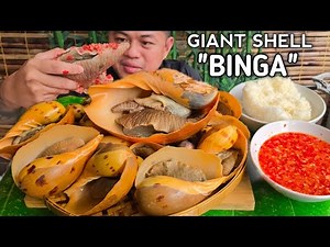 GIANT BINGA SHELL | OUTDOOR COOKING | MUKBANG PHILIPPINES