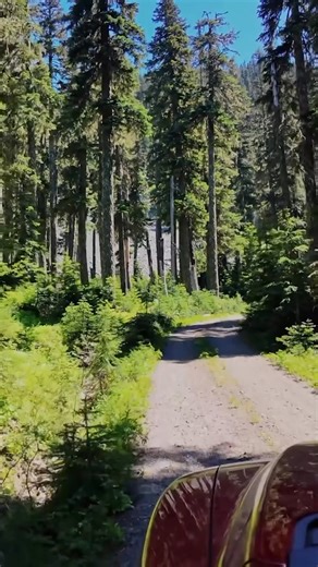 🔥🔥Save BIG on BLUETTI Elite 200 V2! It is an amazing companion for your RV trip to keep you powered all along the road. Meanwhile, it's also powerful enough to effortlessly run your appliances at home, even during power outages. Don't miss the deal! ✅ Advanced LiFePO₄ with life cycle 6000 ✅ 2,600W pure sine wave AC inverter, Lifting Power 3,900W ✅ The all-around upgraded version of the AC200P ✅ 17 years lifespan, 5 years warranty | Bluetti Global