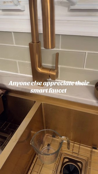 Smart Faucet Tip: Use Alexa to Fill 1 Cup Quickly