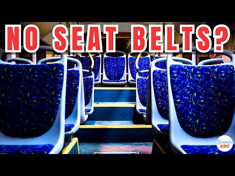 Why Don't Buses Have Seatbelts?