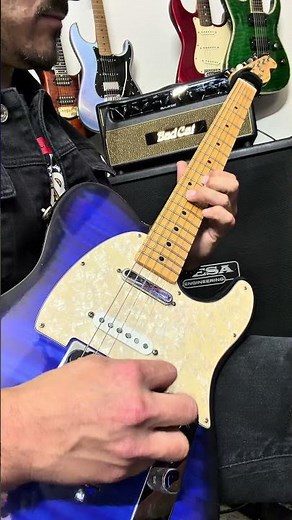 The Bad Cat 20 watt “Black Cat” Clean tones.