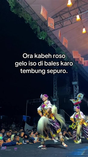 Ora kabeh roso gelo iso di bales karo tembung sepuro - ARC