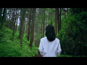 Walk with Marie - Forest Bathing