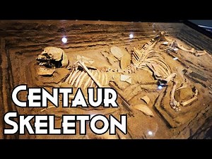 Real? Centaur Skeleton At the University of Tennessee