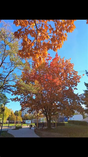 4.5K views · 101 reactions | Beautiful Autumn  | Life is Better with Nature | Facebook