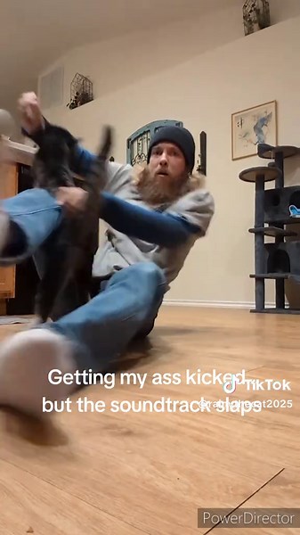 Fight club #cats #cat #catsoftiktok #fyp #foryoupageofficiall | cats