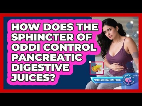 How Does The Sphincter Of Oddi Control Pancreatic Digestive Juices? - Pancreatic Health Network