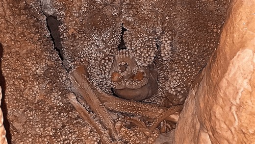 Neanderthal "Altamura Man" Suffered An Unfortunate Death And Became Embedded In A Cave Wall Over 128,000 Years Ago