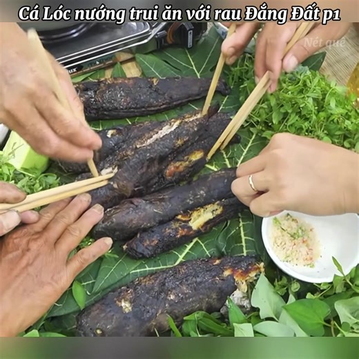 Cá Lóc Nướng Trui & Rau Đắng Đất