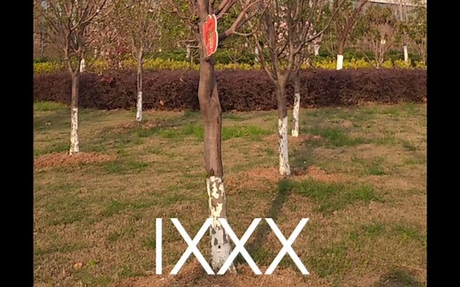 I人和E人的区别（形象解释