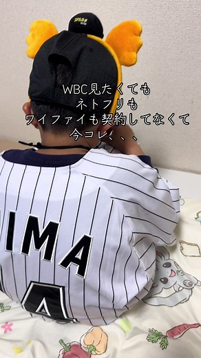 WBCを見るために必要な条件