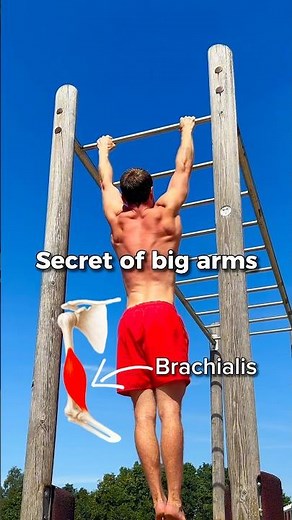 Neutral Grip Pull Ups 💪