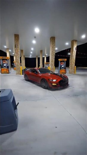 Mastang attitude 😈#Mustang Beast Mode 🔥 | Pure American Muscle Edit