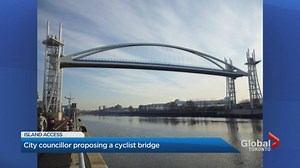 Council candidate proposes bridge connecting Toronto with island park
