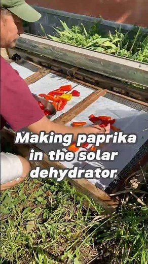 How I Make My Own Organic PAPRIKA from Scratch