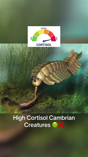 Low Cortisol Cambrian Creatures #cambrian #paleontology #anomalocaris #prehistoric #cortisol