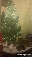 Eo_pXK on Make A Gif, Animated Gifs