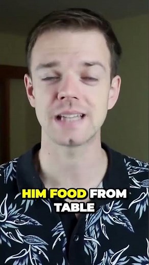 Pug - Two Common Health Problems