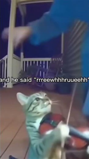 And he said reee #meme