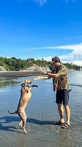 233K views · 7.9K reactions | Antes de viajar instala tu eSim de Holafly en el celular, así tendrás datos ilimitados desde el momento en que aterriza el avión ✈️ Más detalles en el link de mi perfil  | Planeta Juan | Facebook
